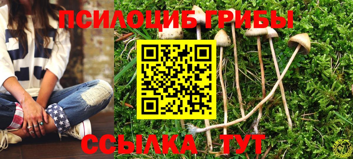 Псилоцибиновые грибы ЛСД  Вход с VPN  Новочеркасск 